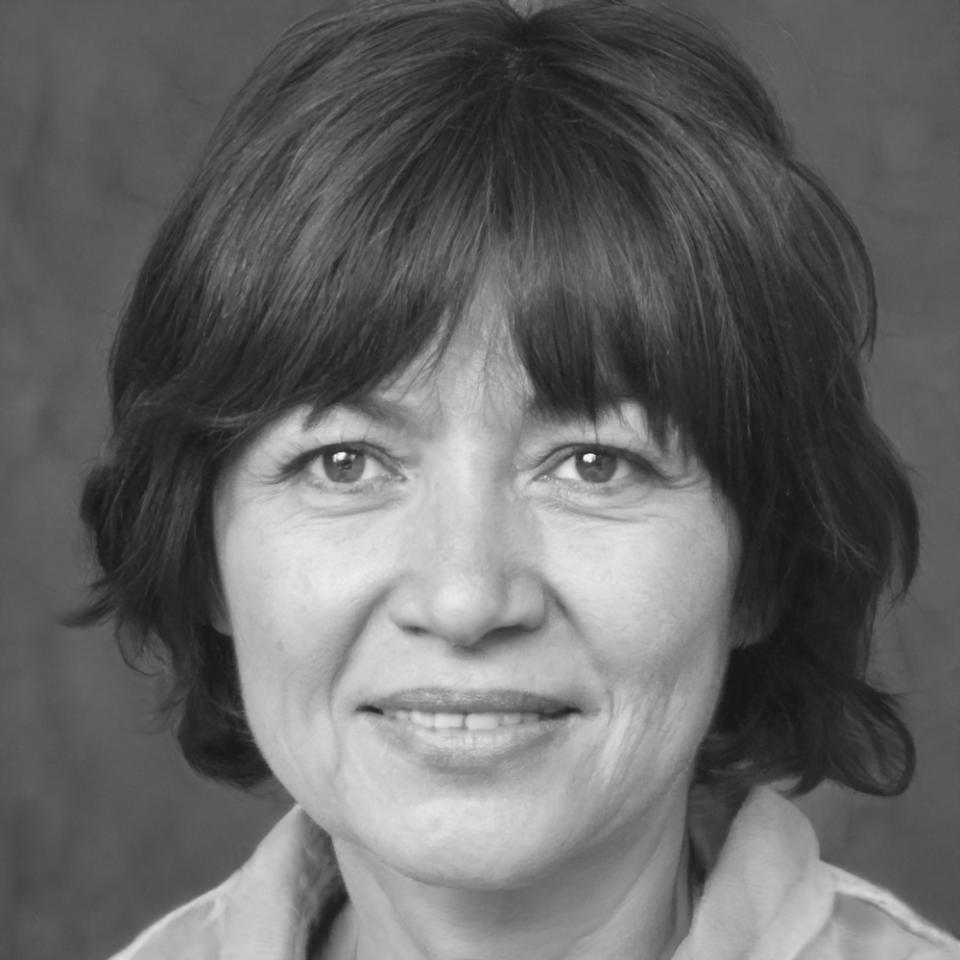 Saoirse Gallagher, Budget Methodology Lead